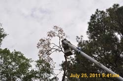 Entergy 098